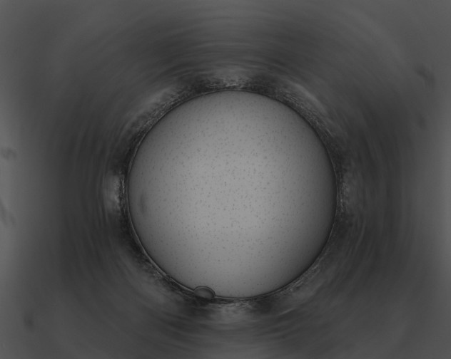 X0000090710122200708031441