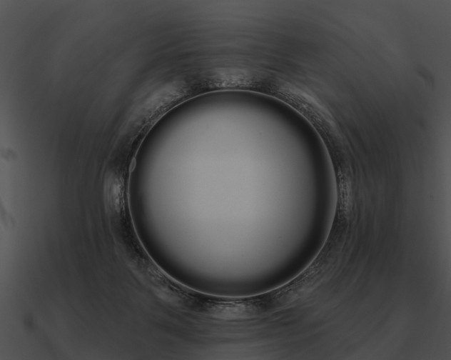 X0000090710123200708031441