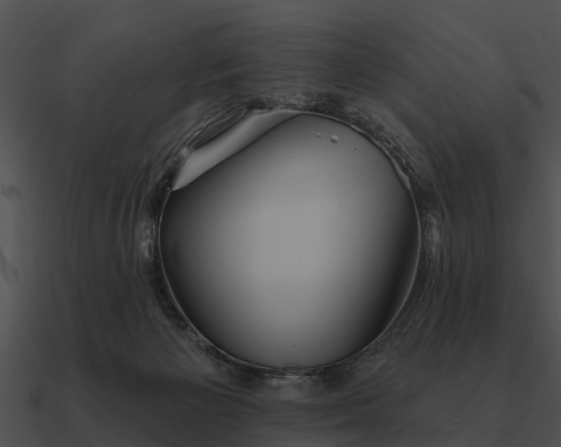 X0000090710125200708031441