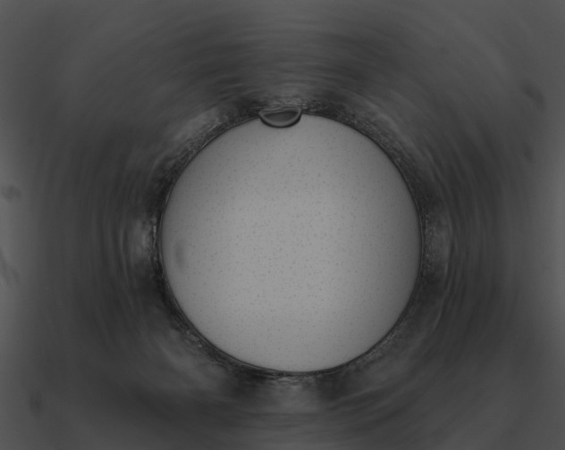 X0000090710126200708031441