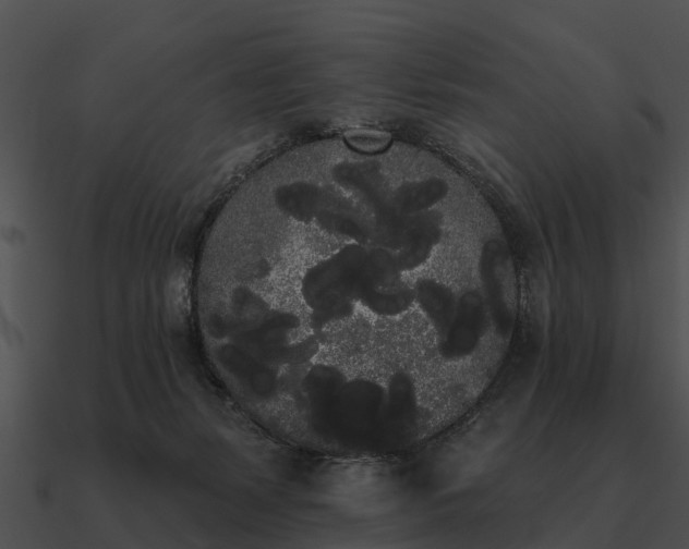 X0000090710127200708031441