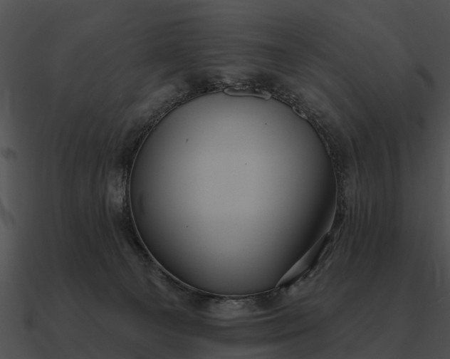 X0000090710129200708031441