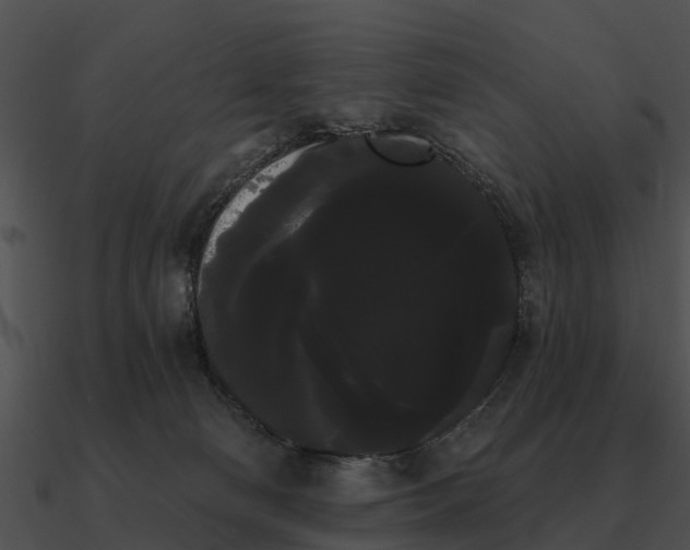 X0000090710130200708031441