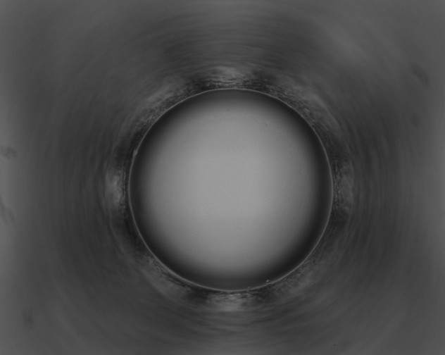 X0000090710131200708031441