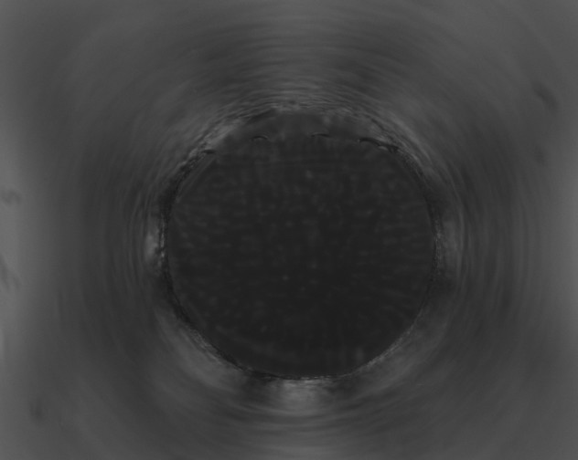 X0000090710134200708031441