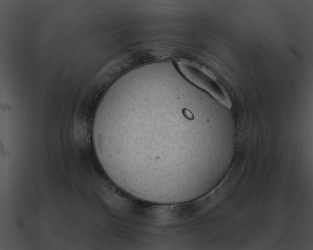 X0000090710136200708031440