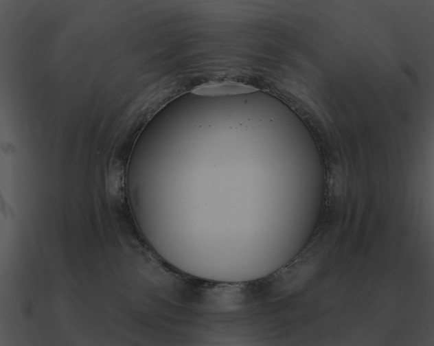 X0000090710138200708031440