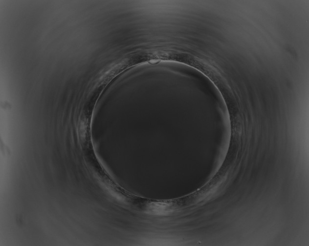 X0000090710139200708031440