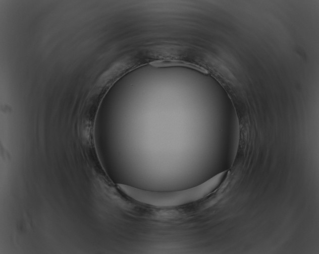 X0000090710141200708031440