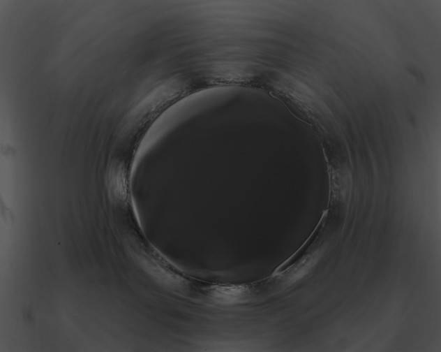 X0000090710143200708031440