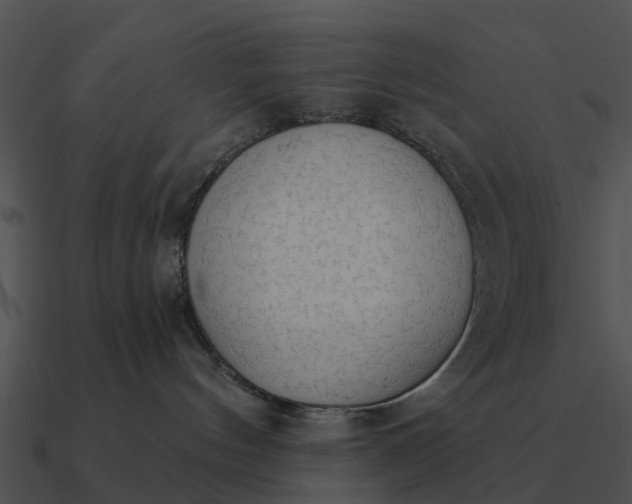 X0000090710144200708031440