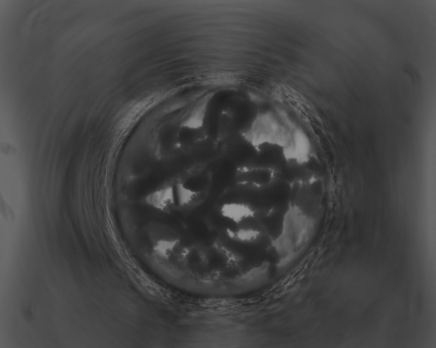 X0000090710145200708031440