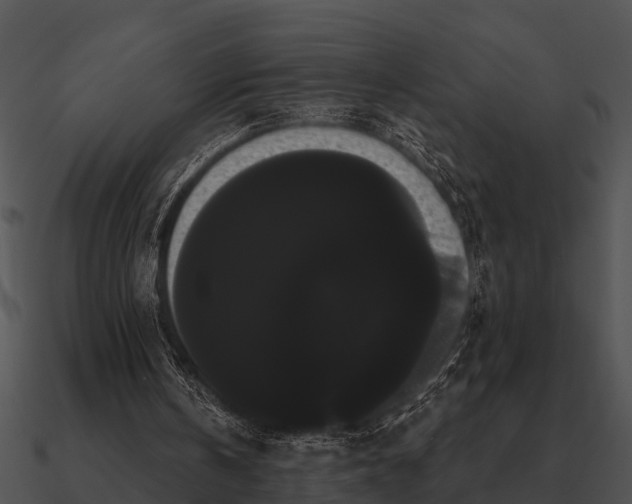 X0000090710146200708031440