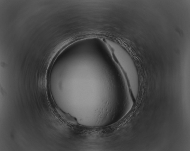 X0000090710148200708031440