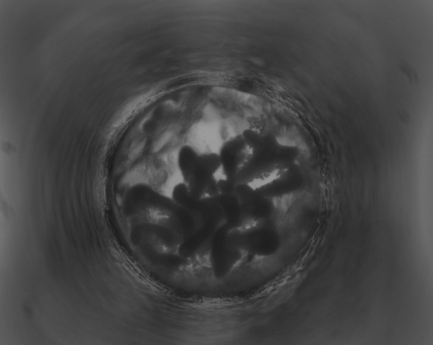 X0000090710149200708031440