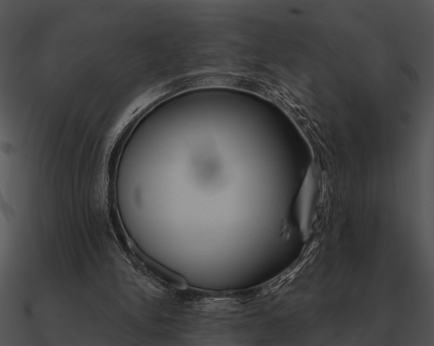 X0000090710150200708031440