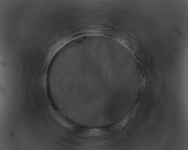 X0000090710151200708031440