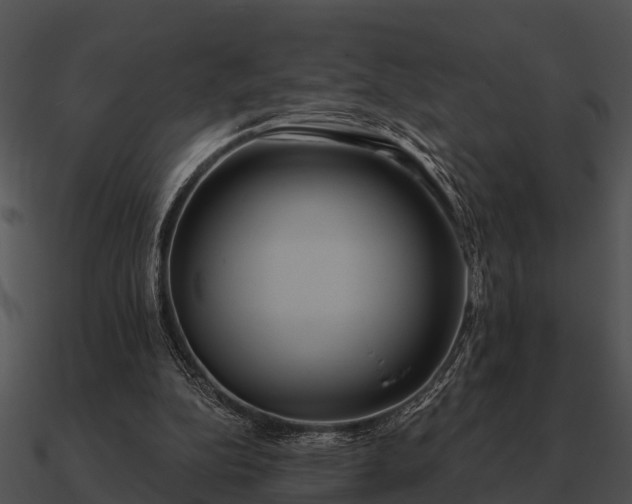 X0000090710152200708031440