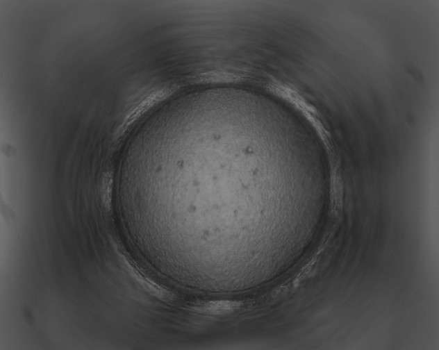 X0000090710153200708031440