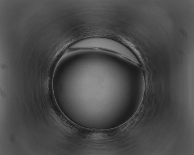 X0000090710154200708031440