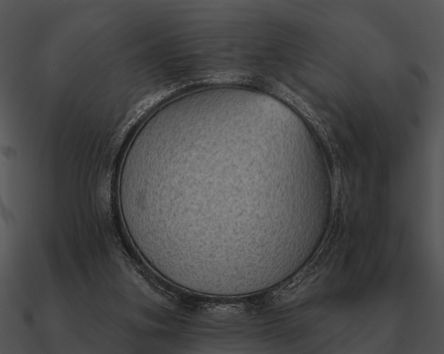 X0000090710155200708031440