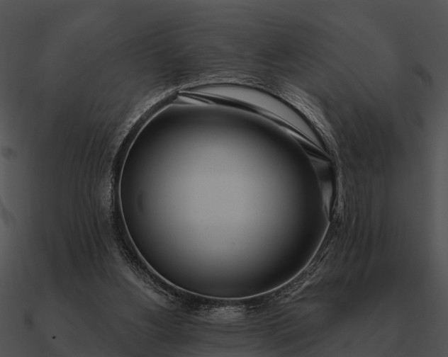 X0000090710156200708031440