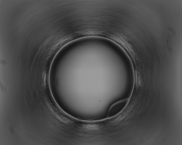 X0000090710157200708031440