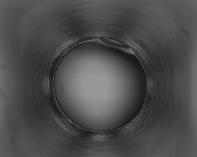 X0000090710158200708031440