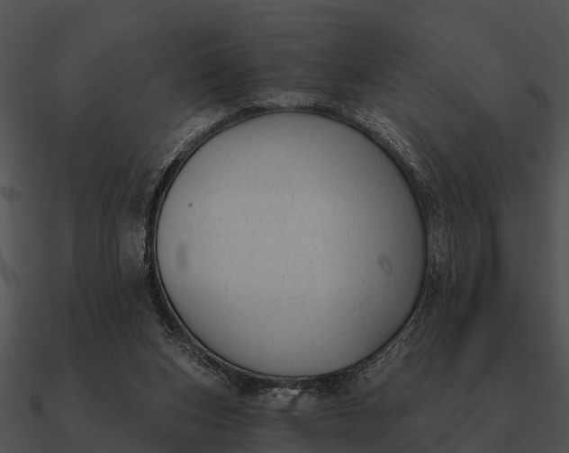 X0000090710159200708031440