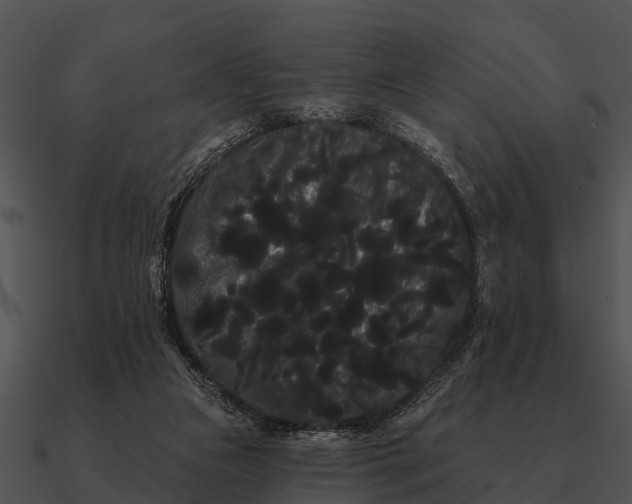 X0000090710161200708031440