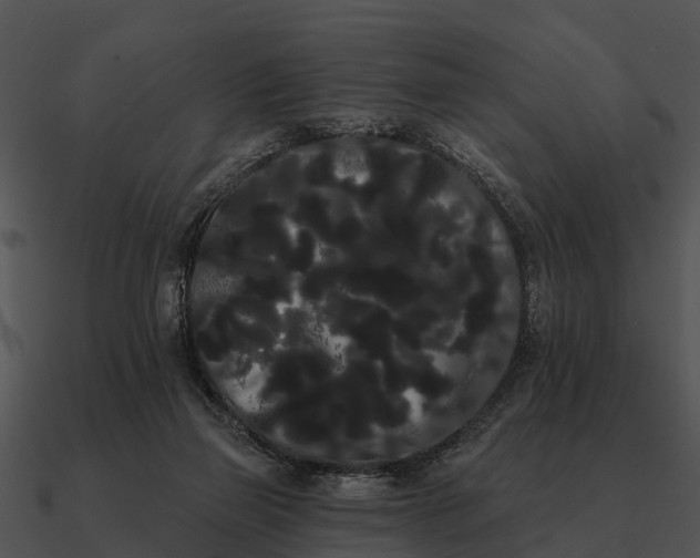 X0000090710165200708031440