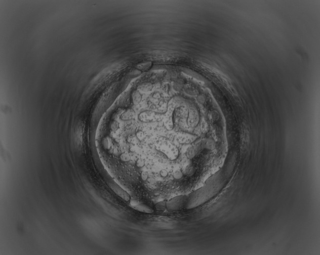 X0000090710166200708031440