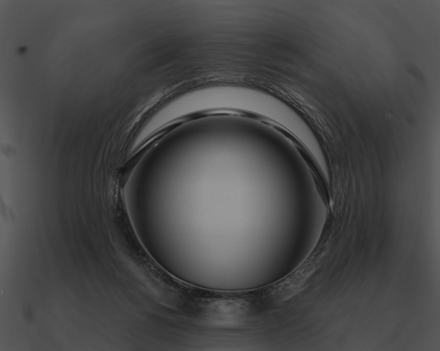 X0000090710168200708031440