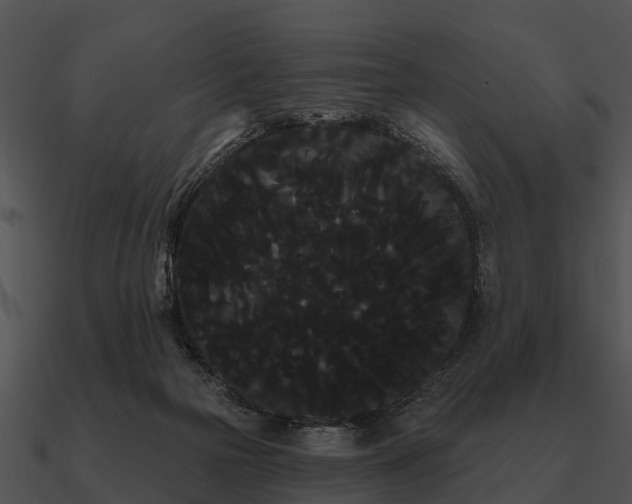 X0000090710169200708031440