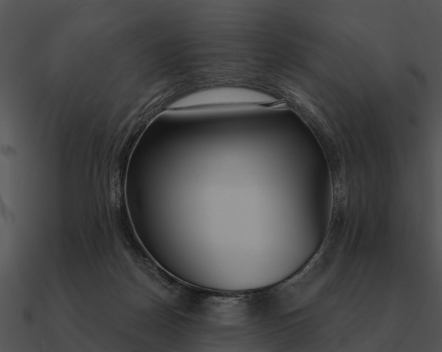 X0000090710170200708031440