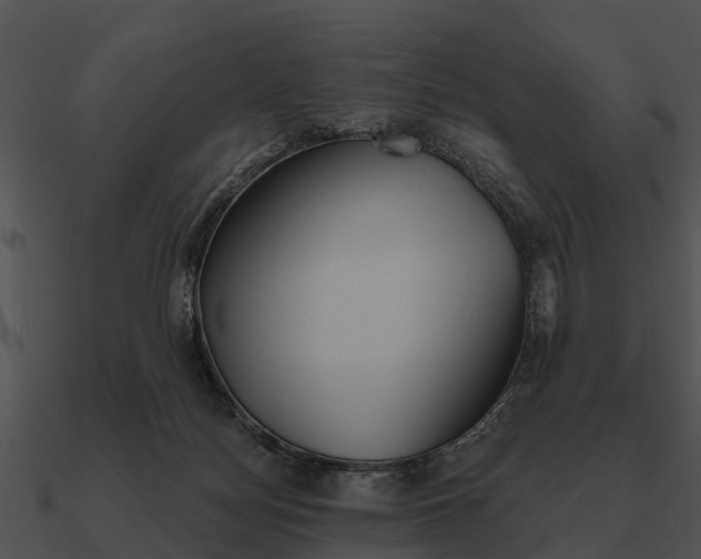 X0000090710172200708031440