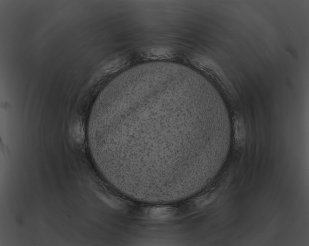 X0000090710173200708031440