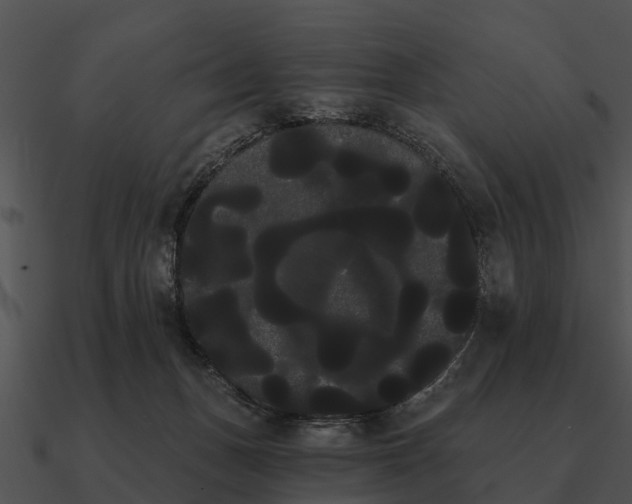 X0000090710175200708031440