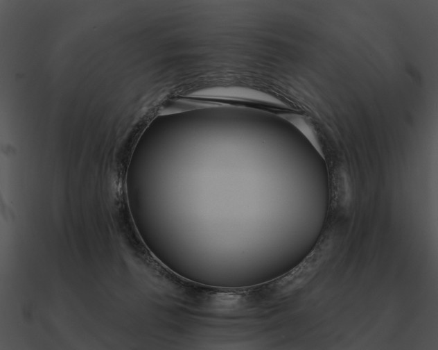 X0000090710176200708031440