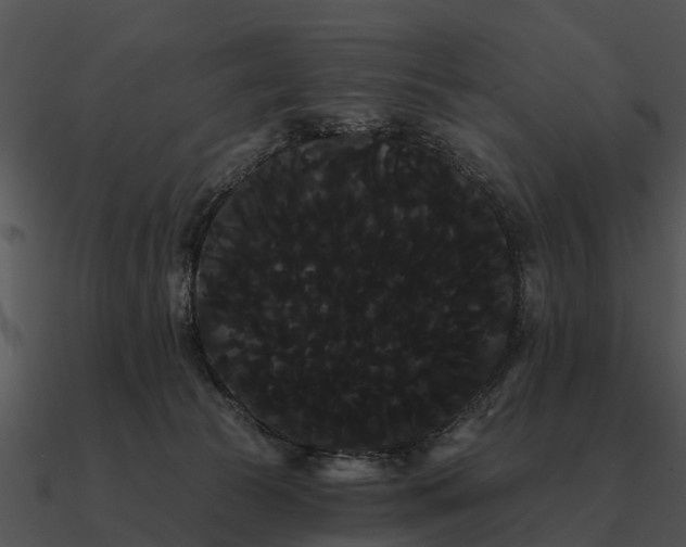 X0000090710177200708031440