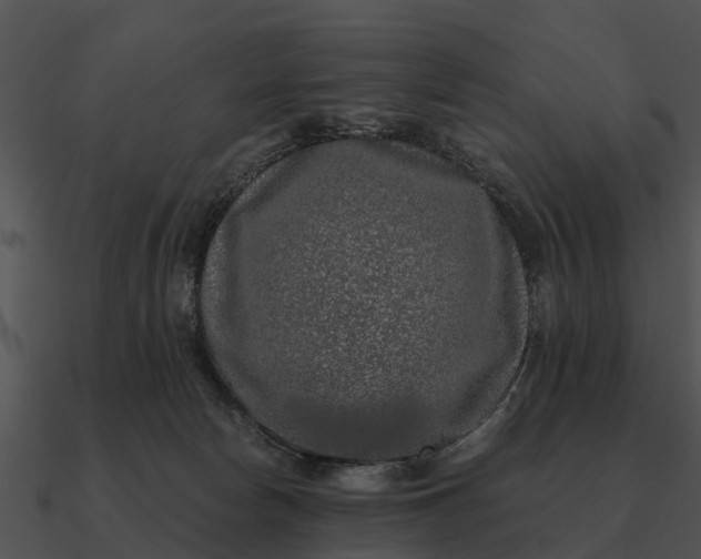 X0000090710178200708031440