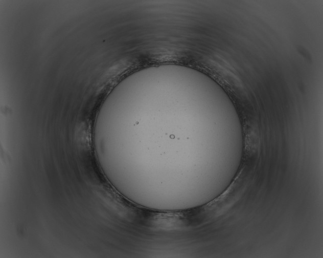 X0000090710179200708031440