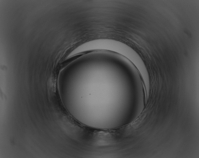 X0000090710180200708031440