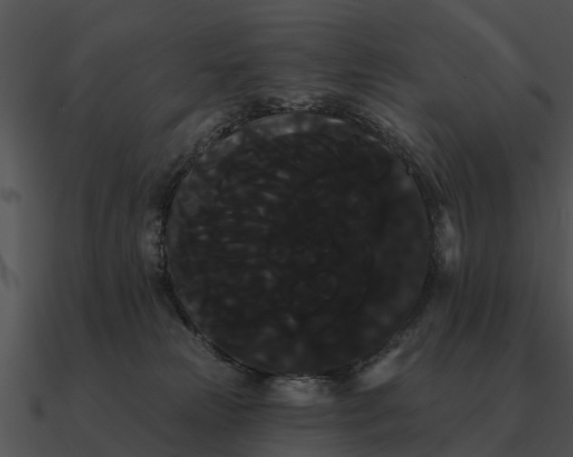 X0000090710181200708031440