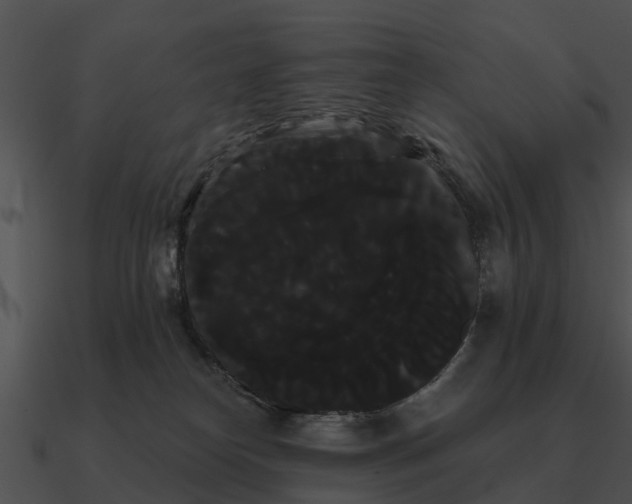 X0000090710182200708031440