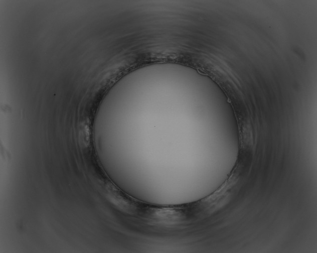 X0000090710183200708031440