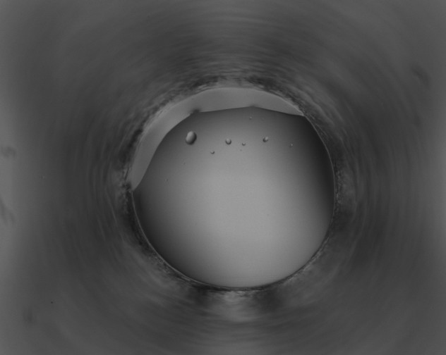 X0000090710184200708031440