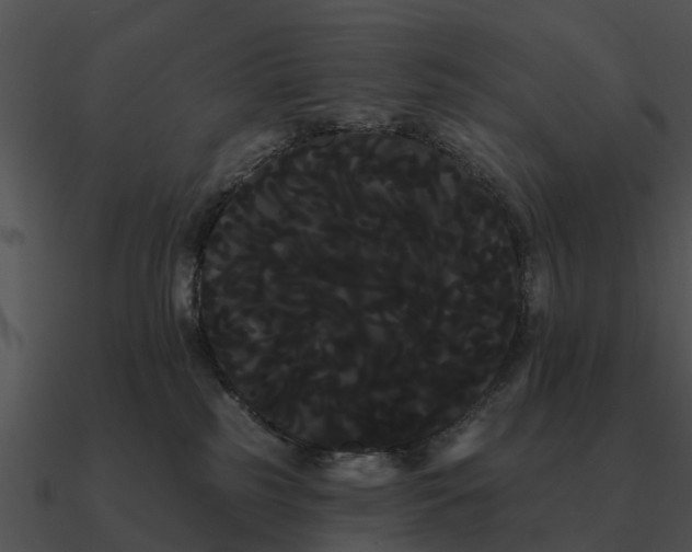 X0000090710185200708031440