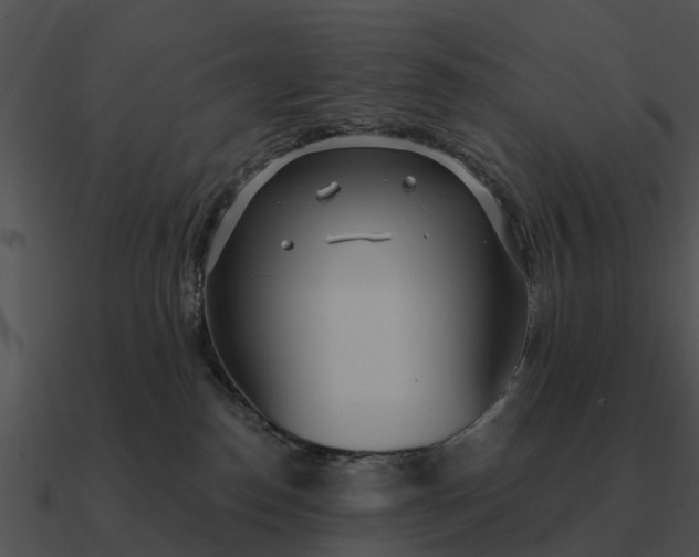 X0000090710186200708031440