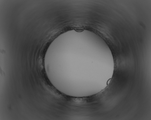 X0000090710187200708031440